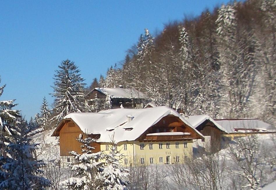 Eisenstattgut Faistenau Exteriör bild