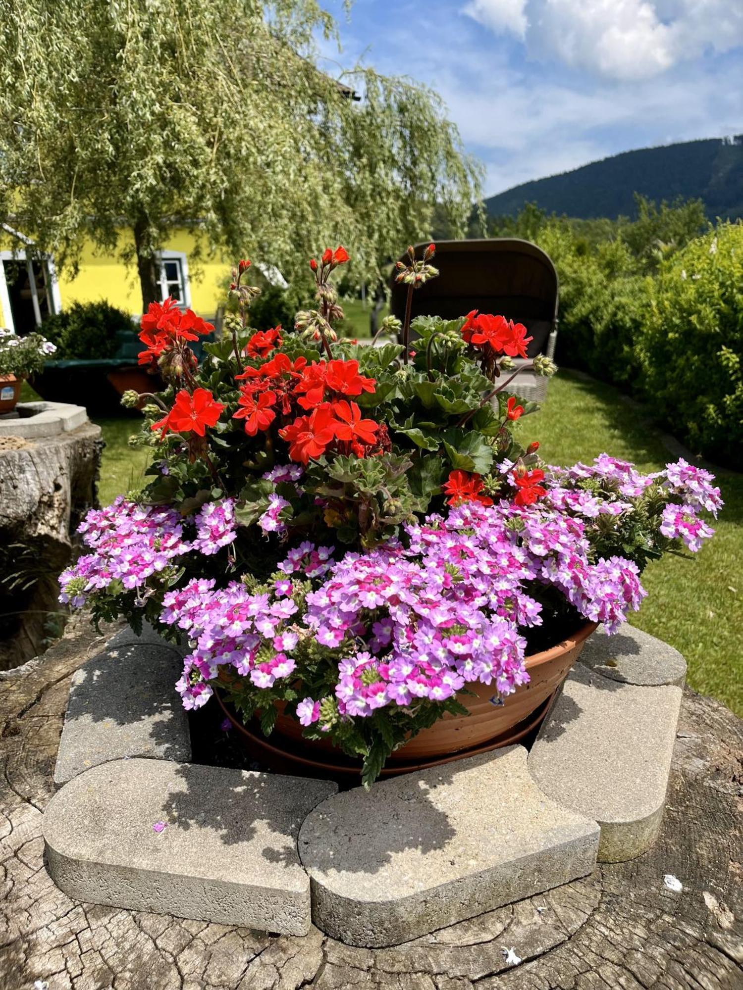 Eisenstattgut Faistenau Exteriör bild